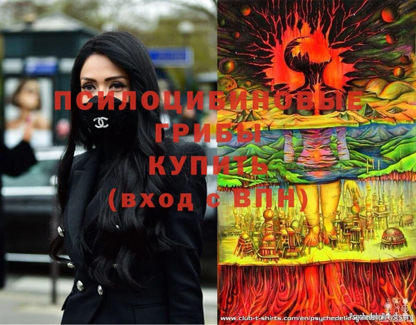 дмт Абаза