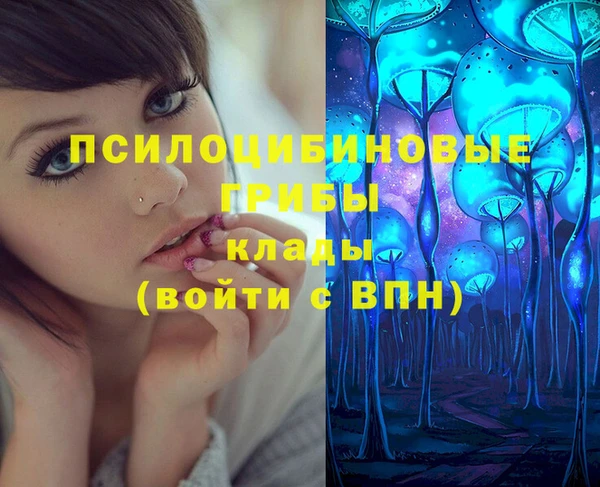 гашик Алексин