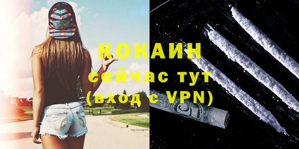 дмт Абаза