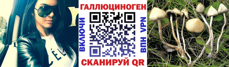 Псилоцибиновые грибы MAGIC MUSHROOMS  маркетплейс телеграм  Южа  закладки 